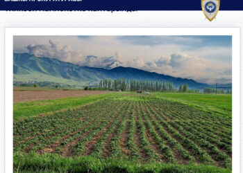 Кара-Кулжада 25 миллион сомдук жер тилкеси мамлекетке кайтарылды