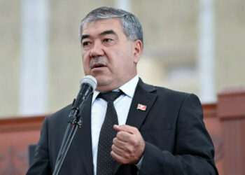 Депутат: «Орусияда мигранттардын балдарын мектепке албай жатат, онлайн окууну уюштуруу керек»