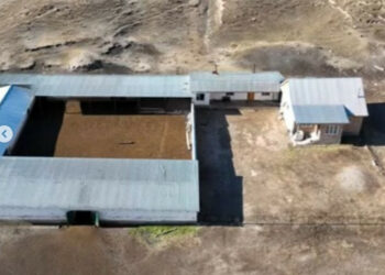 Нарында токой фондунун жерин атасына менчиктештирүүгө шектүү директор кармалды