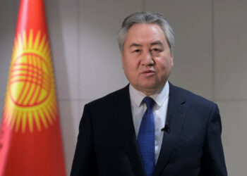 Тышкы иштер министри: «2024-жылы 305 миңден ашык виза берилди»