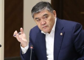 Ташиев: «Адамдын убалы жаман, жыйынтык кылам деп күнөөсүз адамдарды сыздатпагыла!»