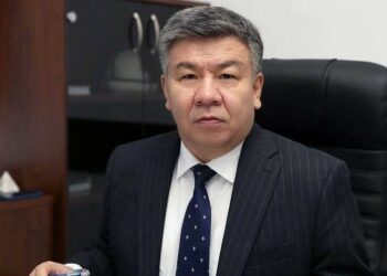 Алмамбет Шыкмаматов: «ЭТТНди анализи жок киргизгени үчүн жоопко тартчу адамдарды аныктап берем»
