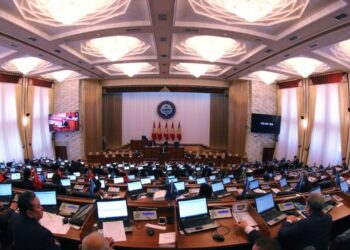 Милиция кызматкерлерин видеого тартууга тыюу салуу боюнча мыйзам долбоор жактырылган жок