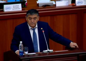Ташиев: «Кыргыз-тажик чек арасы боюнча документ Жогорку Кеңешке январь айында киргизилет»