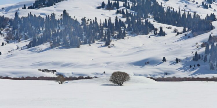 6-декабрга карата өлкөдө күтүлгөн аба ырайы