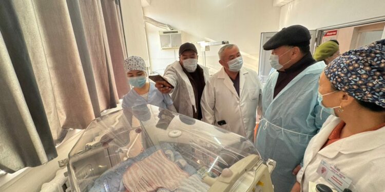 Ноокатта 3 эм уул төрөлдү