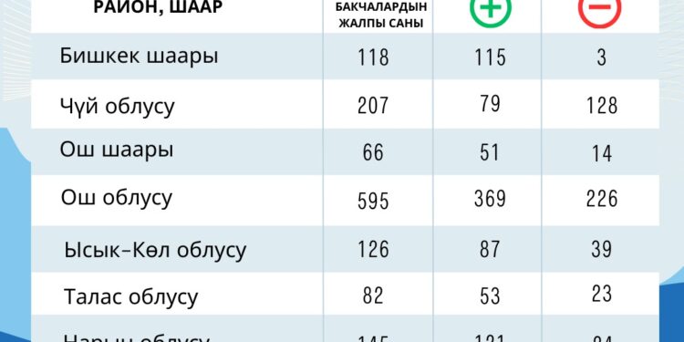 Өлкө боюнча 1871 бала бакчага камералар орнотулду