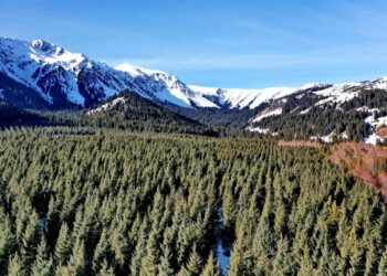 28-декабрга карата өлкөдө күтүлгөн аба ырайы