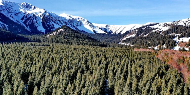 28-декабрга карата өлкөдө күтүлгөн аба ырайы