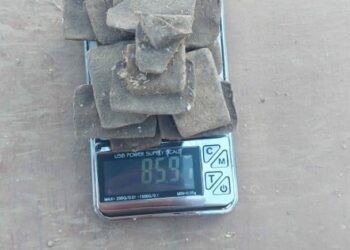 Жалал-Абадда баңги затын сатып жүргөн кылмыштуу топ кармалды