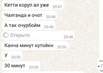 ТикТокто кыз менен таанышып, ага жылаңач чалып… Кийин ал эркек болуп чыкты