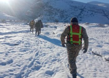 Сүлүктүдө 44 жаштагы жаран үйүнөн чыккан бойдон дайынсыз болуп жатат