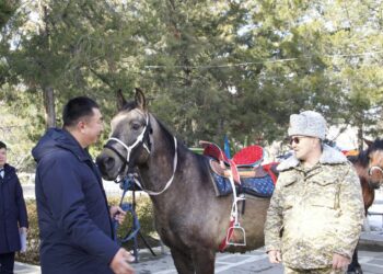 Президенттин Жалал-Абад облусундагы өкүлү Ноокендеги “Бүргөндү” чек ара тозотуна кызматтык аттарды тапшырды