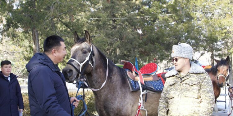 Президенттин Жалал-Абад облусундагы өкүлү Ноокендеги “Бүргөндү” чек ара тозотуна кызматтык аттарды тапшырды