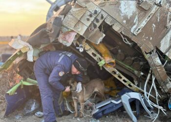 Казакстандагы кыйраган учактын калдыктарын тазалоо иштери башталды