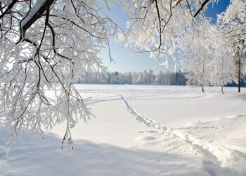 23-декабрга карата өлкөдө күтүлгөн аба ырайы