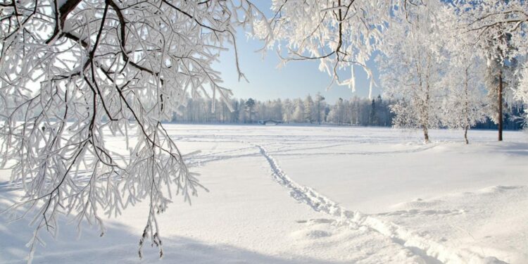 23-декабрга карата өлкөдө күтүлгөн аба ырайы