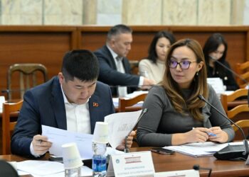 Мамлекеттик оорукана жетекчилеринин менчик клиникада иштөөсүнө тыюу салынабы?