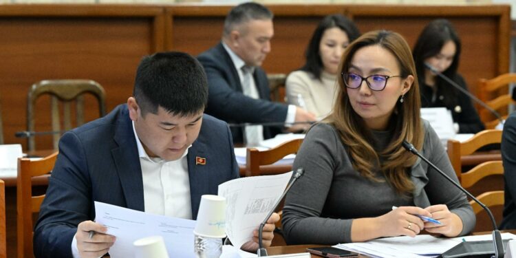 Мамлекеттик оорукана жетекчилеринин менчик клиникада иштөөсүнө тыюу салынабы?