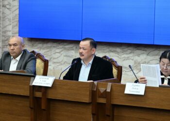 Депутаттар мигранттардын абалын министрликтен сурашты