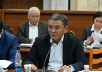 Каалоочулар фамилиясындагы «-ов, -еваны» «уулу, кызы, тегинге» алмаштыра алат. Долбоор биринчи окууда кабыл алынды