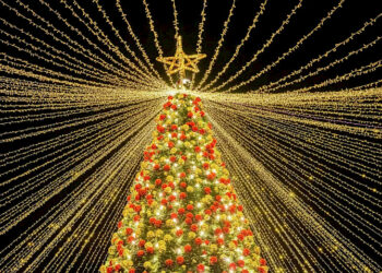 «Ала-Тоо» аянтындагы башкы балатынын чырагы 14-декабрда жандырылат