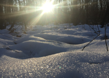 19-декабрга карата өлкөдө күтүлгөн аба-ырайы