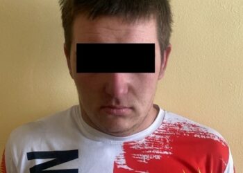 Чүйдө 17 жаштагы жигит адам өлтүрүүгө шектелип жатат