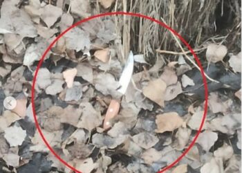 Чүйдө онлайн казиного 287 миң сомун уттурган жигит атасынан коркуп, өзүнө кол салган