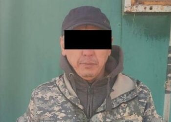 «Узун» каймана аттуу жаран кармалды