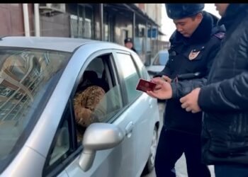 Абхазия, Армения жана Орусиянын номуру менен жүргөн 300дөн ашык унаа айып короого киргизилди