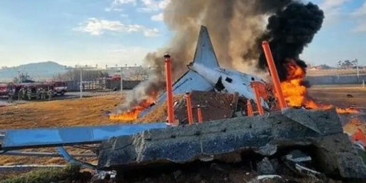 Түштүк Кореядагы учак кырсыгынын алдын ала себеби айтылды