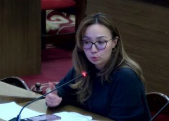 Депутат бир түнкү нике деген түшүнүк пайда болгонун айтты