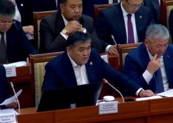 Камчыбек Ташиев: «Президент «мурда инвесторлордун артынан чуркачубуз, азыр тандап калдык» деди»