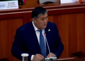 Камчыбек Ташиев: «Жети-сегиз бажычы колго түштү»