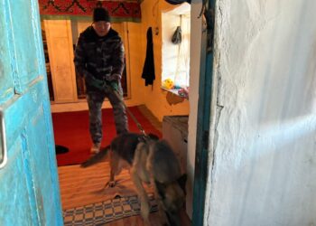 Милиция: «Сүлүктүдө изделип жаткан жаран үйүнөн түнү чыгып кеткен»