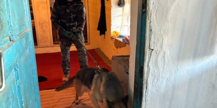 Милиция: «Сүлүктүдө изделип жаткан жаран үйүнөн түнү чыгып кеткен»