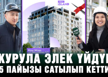 ”Курула элек үйдүн 15 пайызы сатылып кетти” | Prima construction