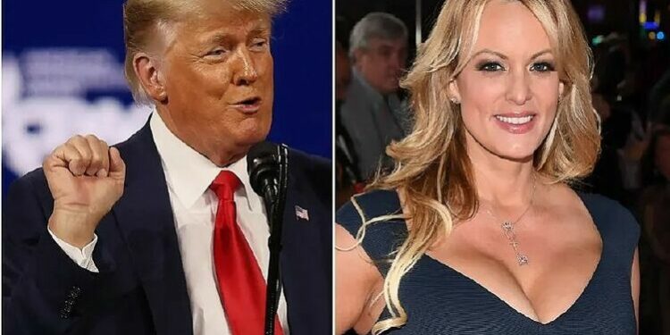Дональд Трампка каршы сот өкүмү айып пул менен чектелеби?