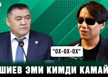 Коррупцияга белчесинен баткан тармактар кайсылар? Депутаттардын жообу