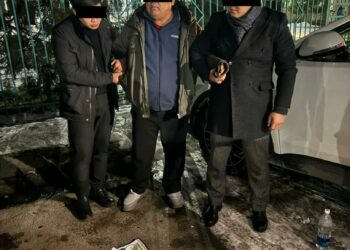 Салыкчы 500 миң сом пара алууга шектелип кармалды
