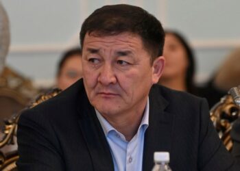 Айтматов проспектисиндеги кыйылган бактардын ордуна 5 метрлик клен тигилет