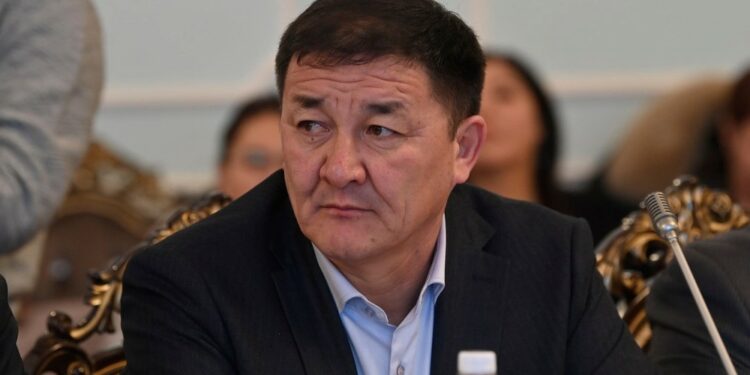 Айтматов проспектисиндеги кыйылган бактардын ордуна 5 метрлик клен тигилет