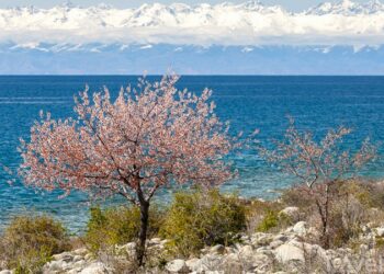 4-апрелге карата өлкөдө күтүлгөн аба ырайы