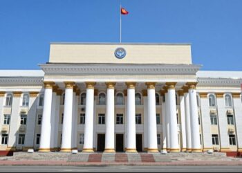 Вьетнамда эс-учун жоготкон абалда табылган кыргызстандык мекенине келди