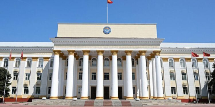 Вьетнамда эс-учун жоготкон абалда табылган кыргызстандык мекенине келди