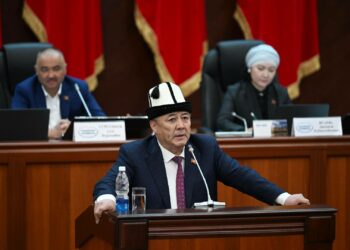Депутат Кыргызстандын Чикагодогу Башкы консулдугун сынга алды
