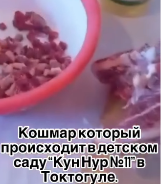 Токтогулдагы бала бакчалардын биринде тартылган видео тарады