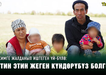 «Балдарым апасындай болуп иттин этин жешин каалабайм» | Ар кимге жалданып иштеген үй-бүлө