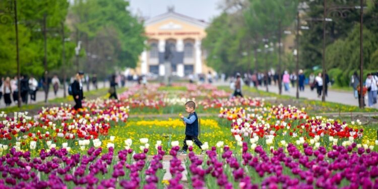 6-майда өлкөдө күтүлгөн аба ырайы
